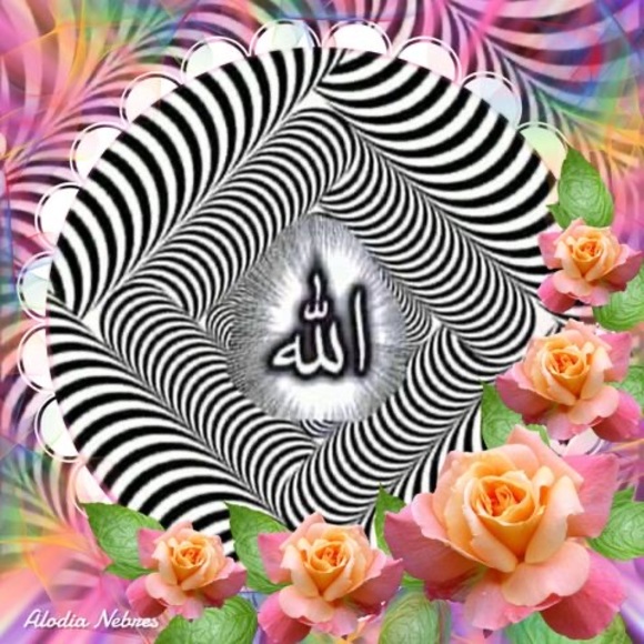 Meet your Posher, Qurban - Picture 1 of 1